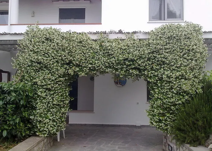 Bed & Breakfast Il Merlo 3*