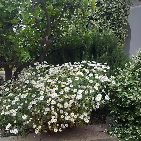 فندق مبيت وإفطار Il Merlo