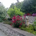 Il Merlo 3*