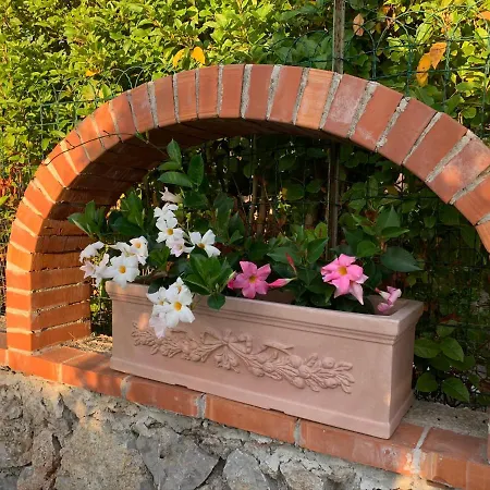 Il Merlo Frühstückspension Anacapri (Isola di Capri)