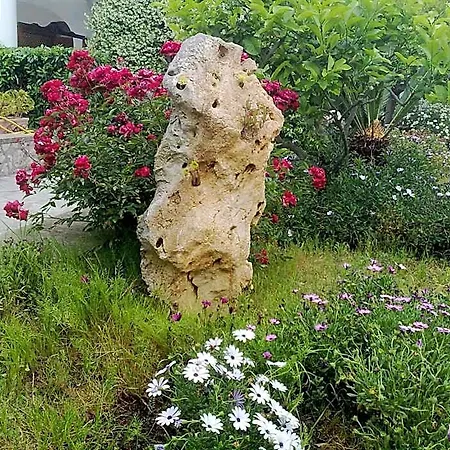 Il Merlo Panzió Anacapri