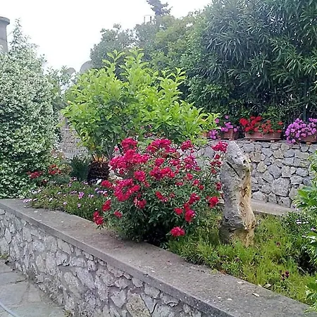 Il Merlo 3*
