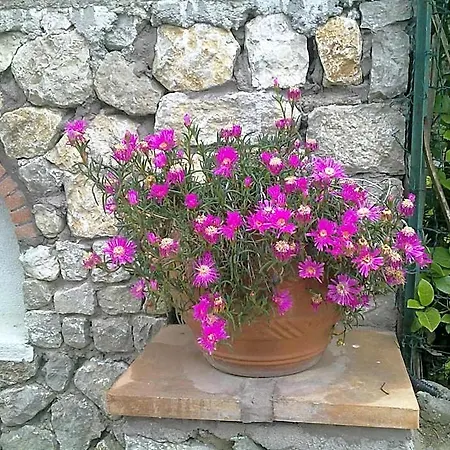 Il Merlo Panzió 3*