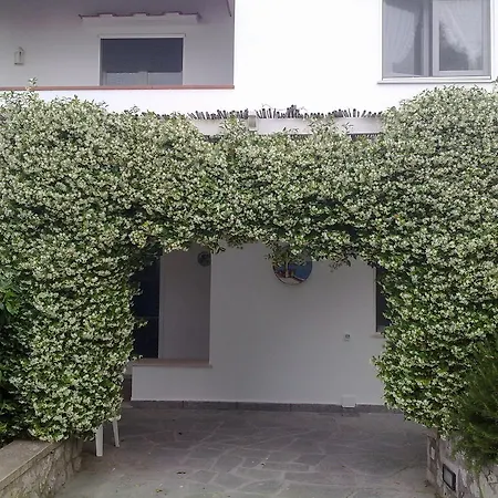 Bed and breakfast Il Merlo 3*