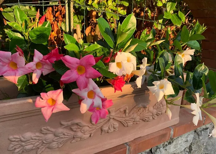 Il Merlo Anacapri (Isola di Capri)