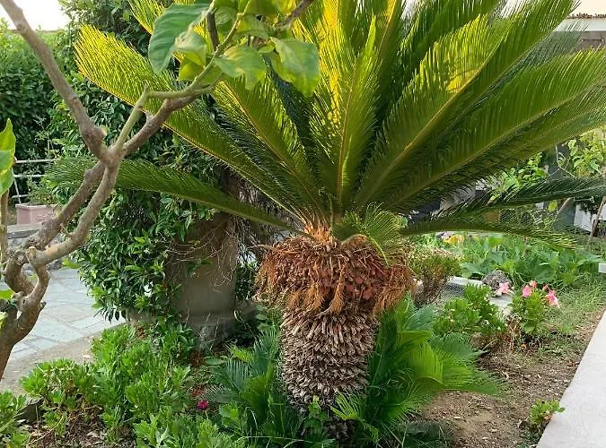 Il Merlo Oda ve Kahvaltı 3*