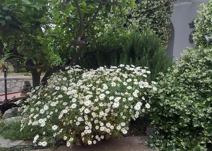 Oda ve Kahvaltı Il Merlo