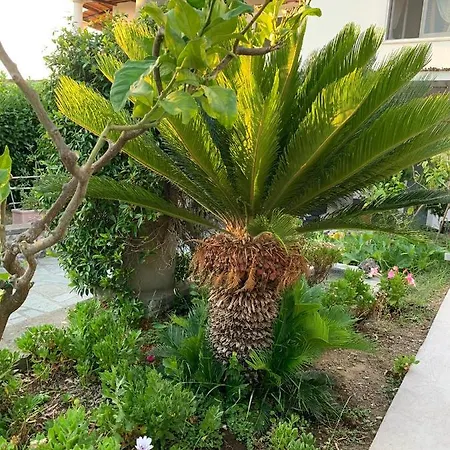 Il Merlo فندق مبيت وإفطار 2*