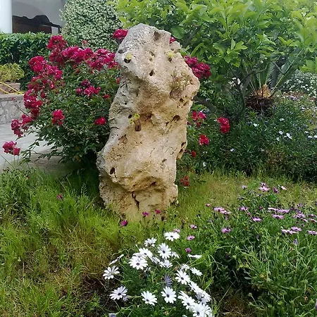 Il Merlo فندق مبيت وإفطار أناكابْري