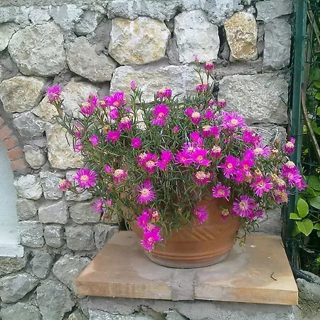 Il Merlo Anacapri (Isola di Capri)