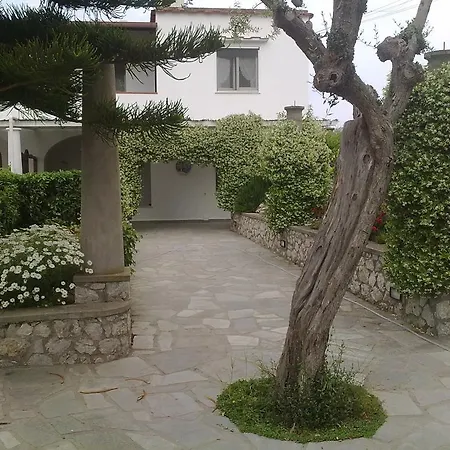 Il Merlo فندق مبيت وإفطار 2*