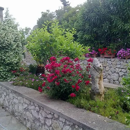 Il Merlo 3*